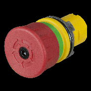 Руководитель: 33 мм