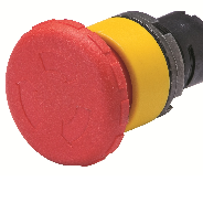 Руководитель: 40 мм