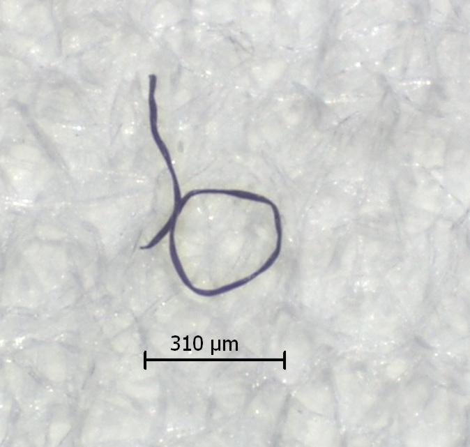 CLEAN-BAY sistema integrato за il controllo della contaminazione ISO16232 ISO18413